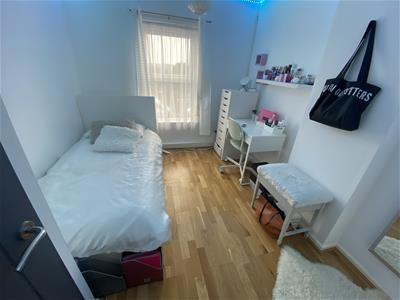 Picture 11